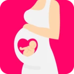 pregnancy calculator android application logo